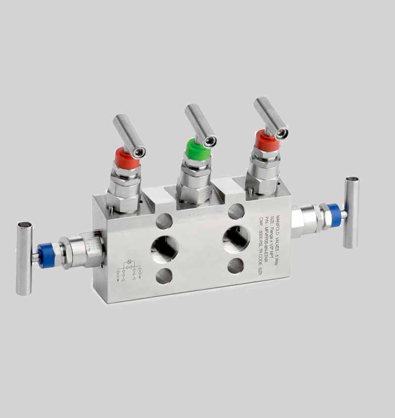 Stainless Steel 5 Way Manifold Valves Manufacturer